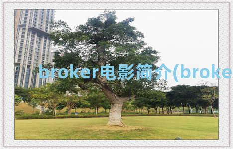 broker电影简介(broker电视剧)